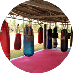 camp de boxe thai